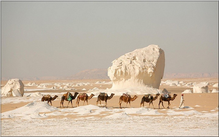 الصحراء البيضاء