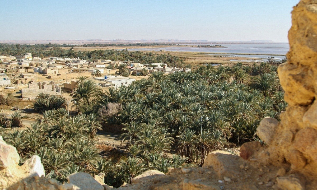 Scenes from Siwa Oasis