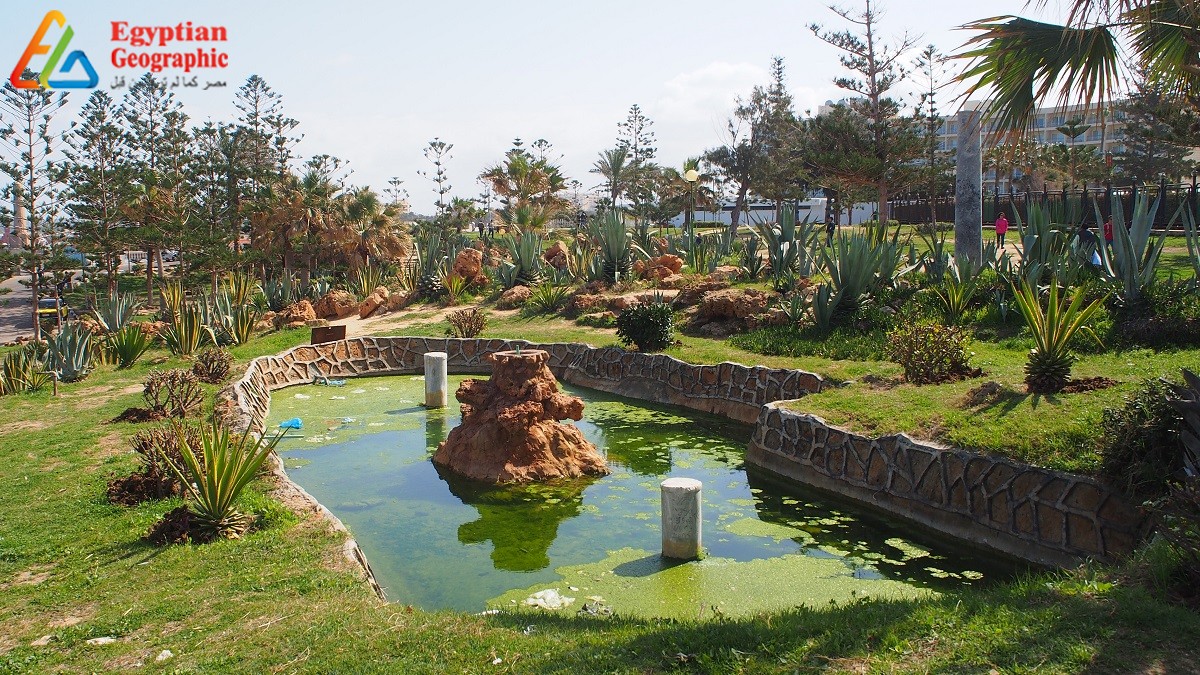 حدائق قصر المنتزة