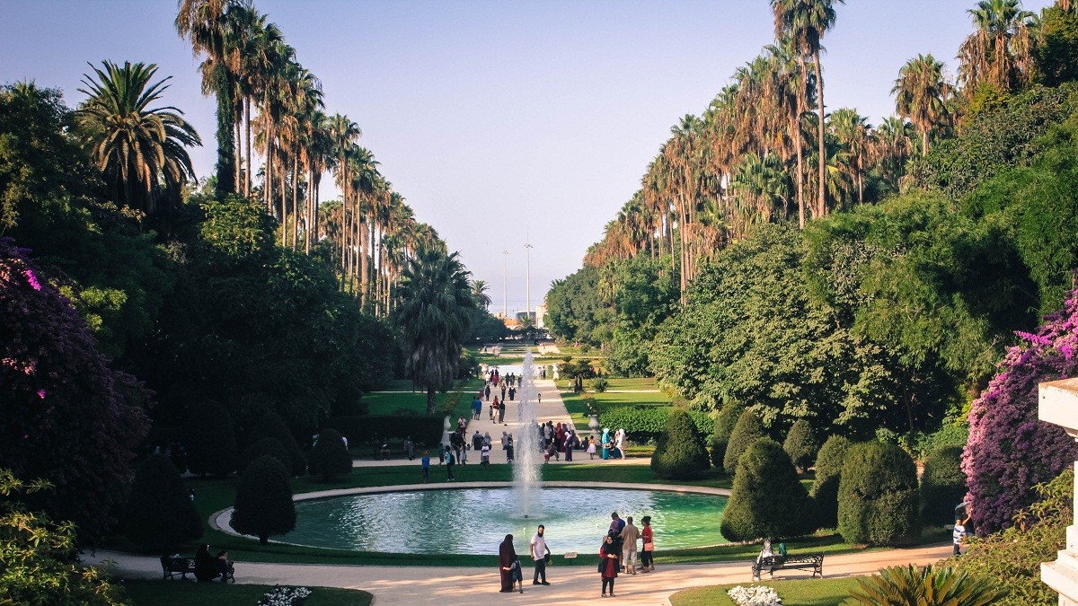 حديقة التجارب النباتية ثلاثة آلاف شجرة نادرة وضعت الجزائر ضمن أجمل حدائق العالم
